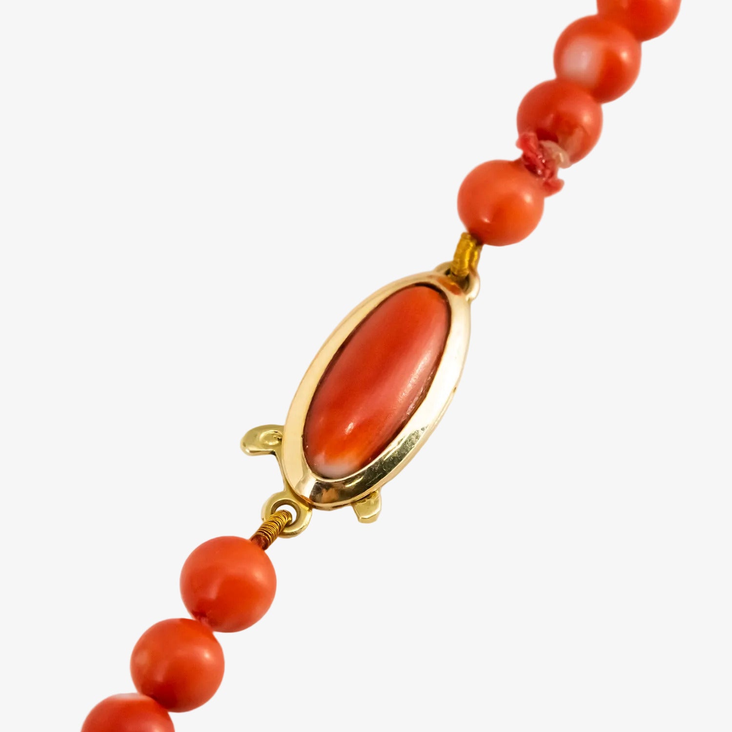 Gargantilla de coral natural con broche de oro de 18 kt.